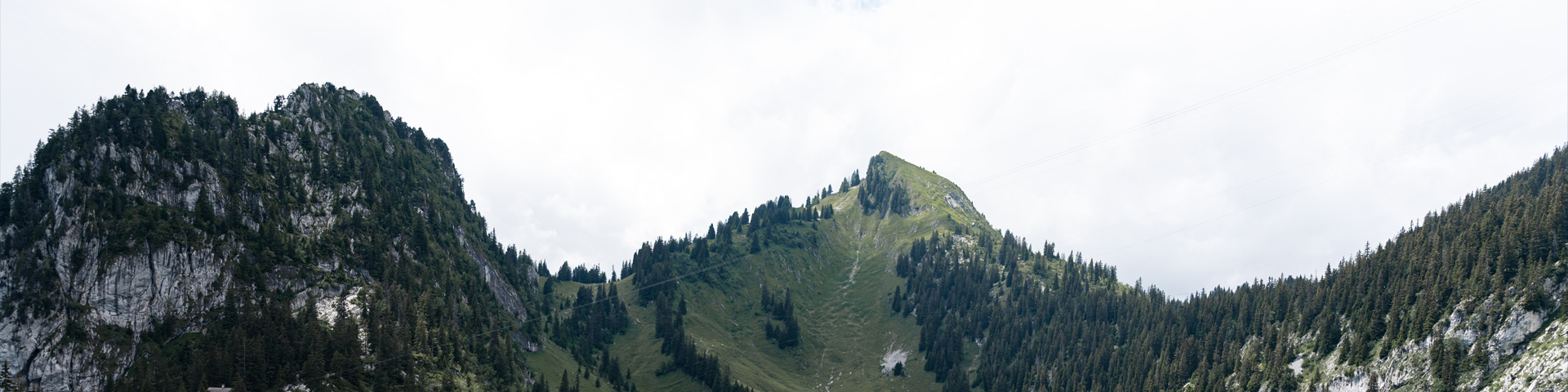 湖南中福盛景国际旅行社有限公司