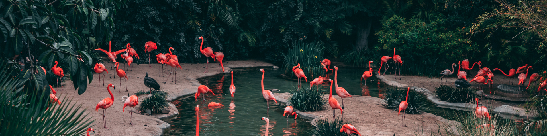 湖南中福盛景国际旅行社有限公司